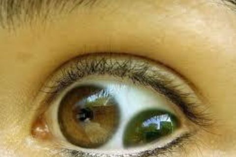 They Are Always Watching 