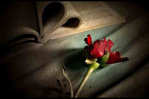 Untold Love Story - Chapter 1