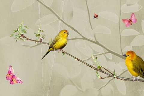 Birth of Spring