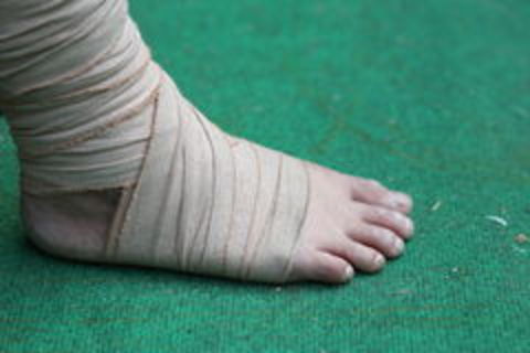 The Gout