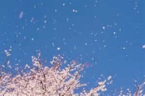 When I think of spring