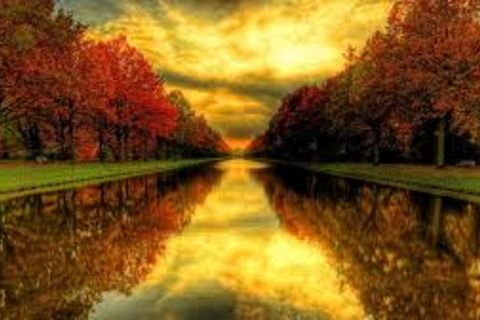 Nature is beautiful