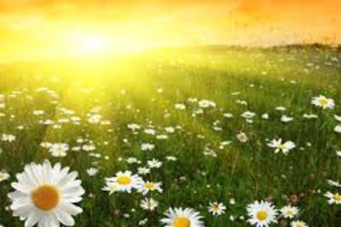 SUN BY DAY