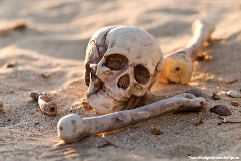 IN THESE BONES