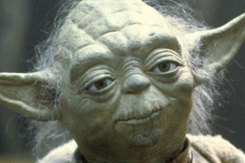 Yoda Stole My Soda