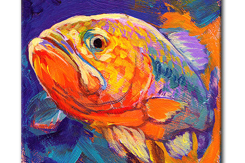 The Ugly Fish 