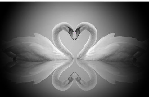 My Love For You