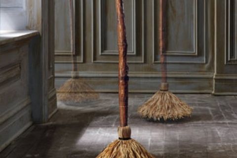 WITCHES BROOM