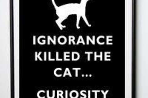 &quot; DID CURIOSITY ...KILL THE CAT &quot;!?X