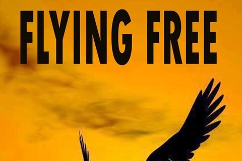 POET&#039;S PEN: WILLIAMSJI MAVELI writes on Shirley Rebstock&#039;s  Poem,titled &quot; Flying Free &quot;