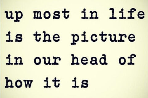      &quot; What would you do?&quot;