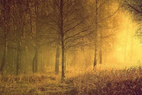 RADIANCE OF MORNING