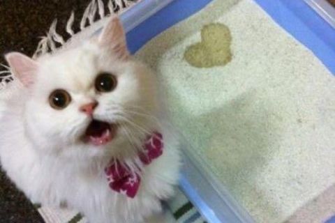 &quot; DATS..FOR YOU !&quot;?X