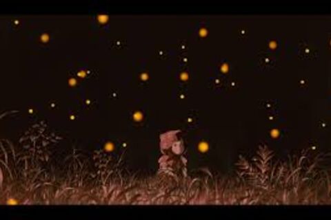 Making a Star