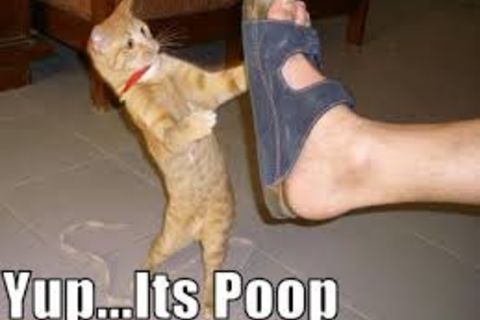 Check Your Sole At The Door