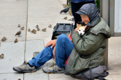 HOMELESS