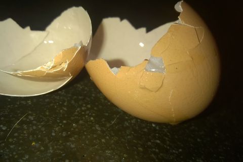Eggshells