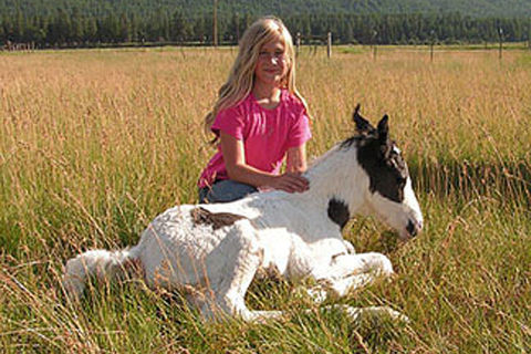 My Horse