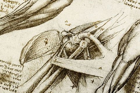 WHY WATER (Leonardo’s Mystery into the Universe)