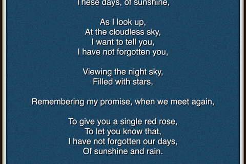 One Rose