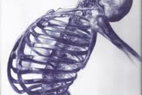 IMBUE THE SKELETON