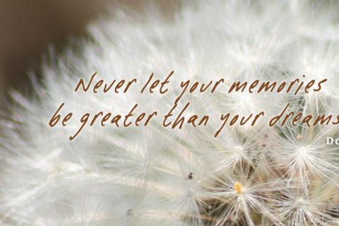&quot; ON THE NEVER, NEVER &quot;!?X