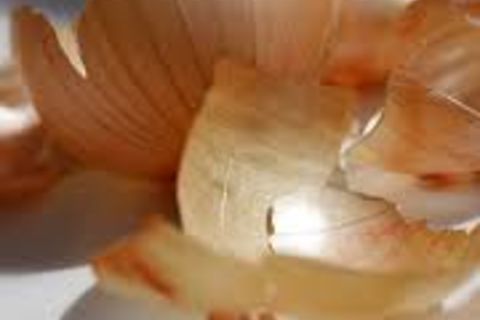 ONION