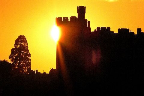 Miranda&#039;s Giants, Chapters 14-17... the end