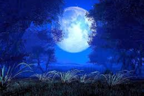 A Moonlit Night