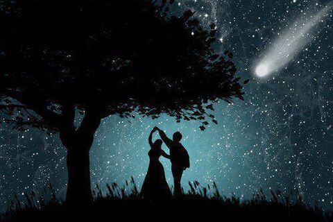 The Stars