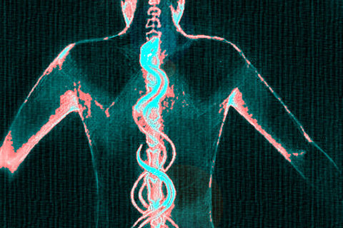 &quot; KUNDALINI &quot;
