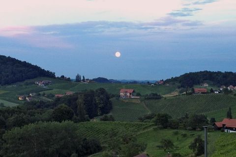 PLUCK THE MOON