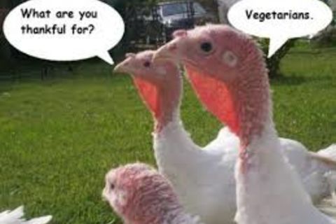 &quot; WHATS TO BE THANKFUL FOR &quot;!?X