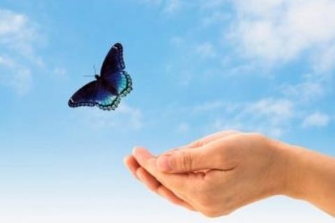 Set Free