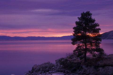 The Dawn