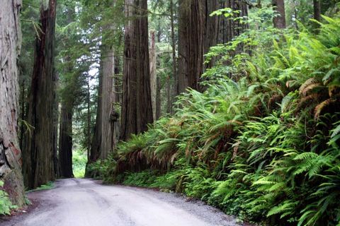 No one on this road(but me)