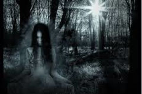 perceptions of reality