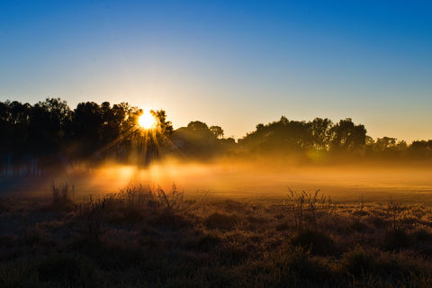 Loves First Light
