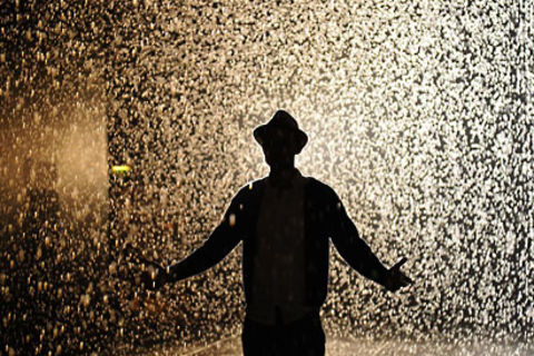 The Rain Man