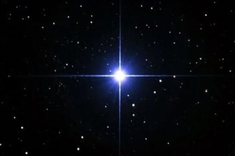 The star 