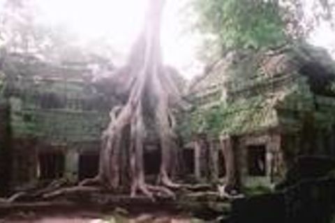 The Ruins