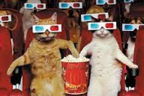 &quot; CAT.ASTROPHE-IN 3 D !&quot;?X