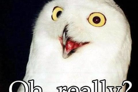 &quot; WISE, OLD OWL !&quot;?X