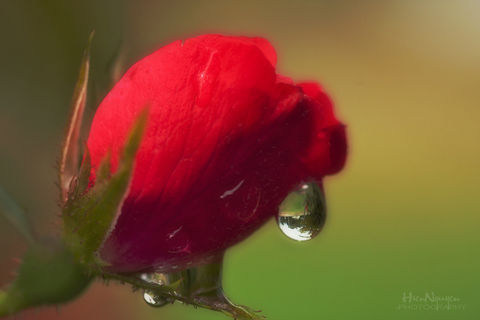 ~~MANY DON’T KNOW WHAT LOVE REALLY IS