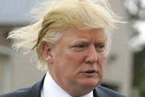 Donald Trump Card