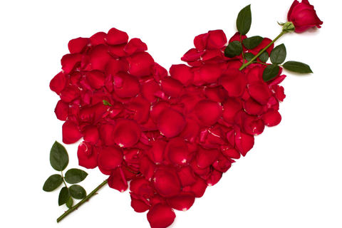 The Grip Of Love