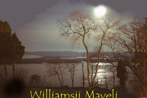 AUGUST MOONS:  DAY 7 WILLIAMSJI MAVELI CO-WRITES WITH SPARROWSONG, I AM YOU
