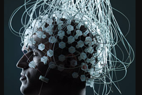 The Illusion Of Free Will 