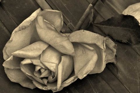 DEATH IS A FRIEND