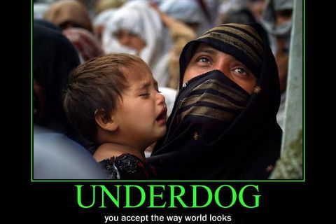 ​Underdog